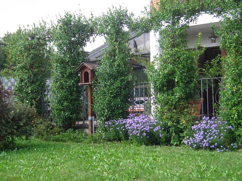 Scaccia Pensieri in Tarcento, Italy