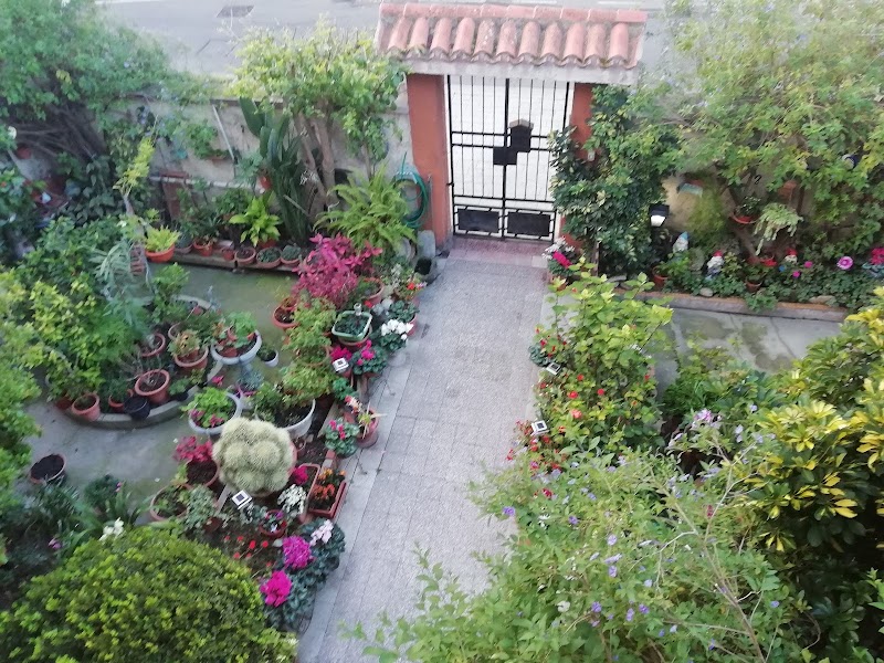 Sette Nani in Elmas, Italy