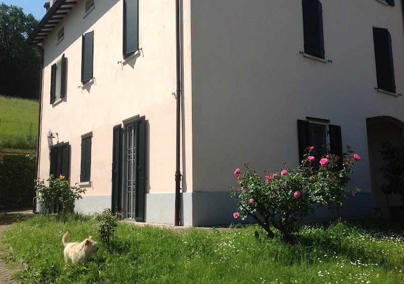 Smile in Fiorano Modenese, Italy