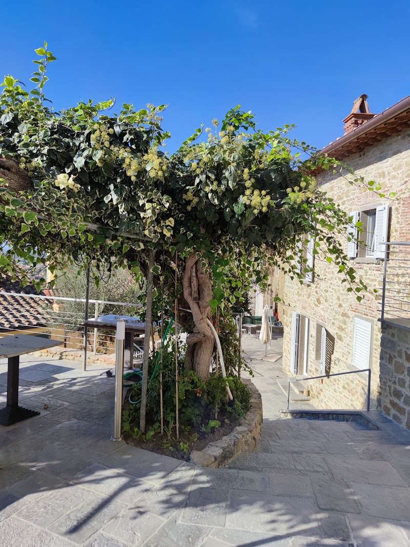 Suite San Michele in Castiglion Fiorentino, Italy