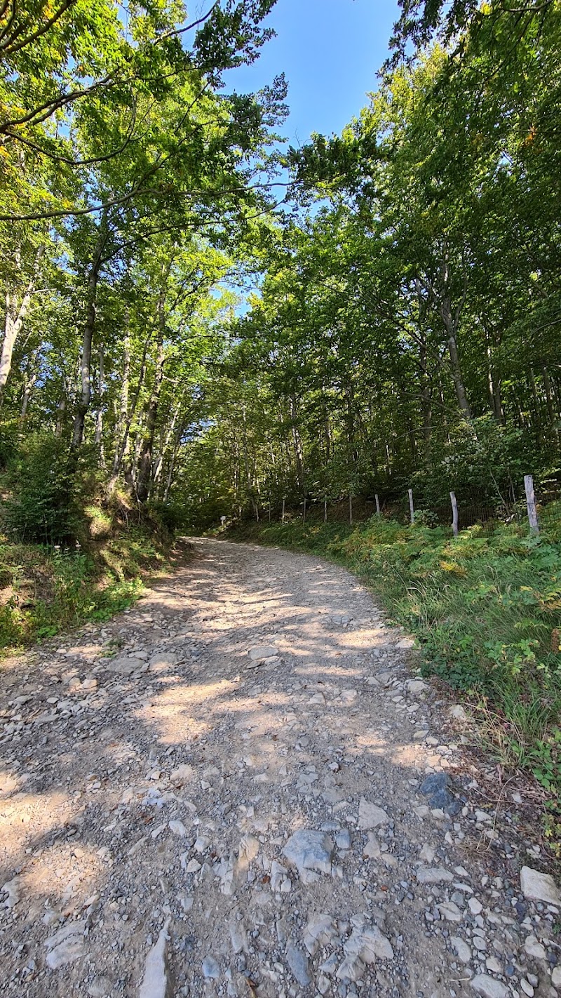 Sulla Via degli Dei in Sasso Marconi, Italy