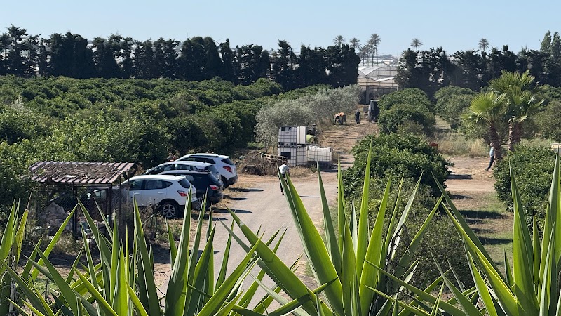 Tenuta Macconi Country Rooms in Acate, Italy