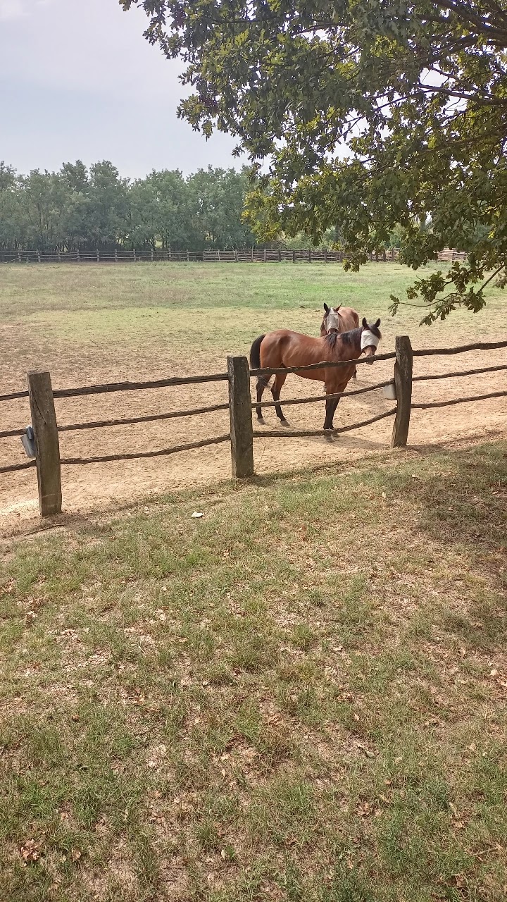 Tenuta Mariano in Noceto, Italy