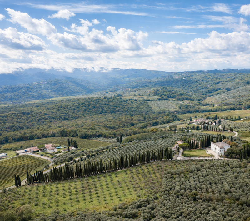 Tenuta San Jacopo - Agriturismo in Cavriglia, Italy