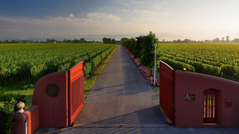 Tenuta Santomè in Roncade, Italy