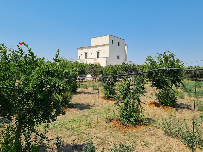 Tenuta degli Agrumi in Carmiano, Italy