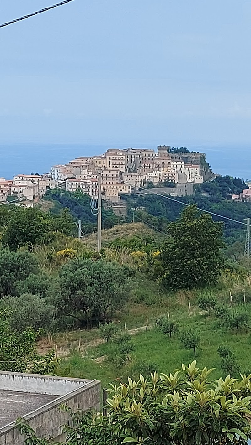 Tenuta dei Biondi Ulivi in Belvedere Marittimo, Italy