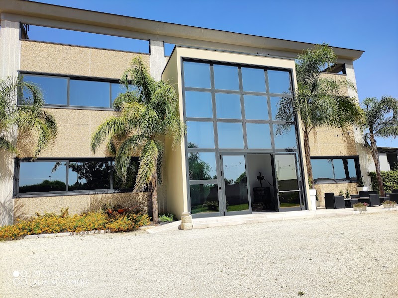 Terra di Negroamaro in Leverano, Italy