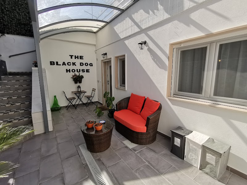The Black Dog House in Valenzano, Italy