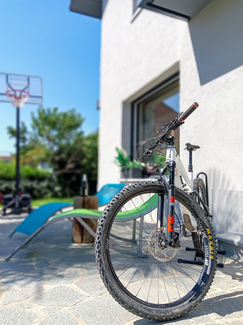 Torino Hills MTB Experience in Chieri, Italy