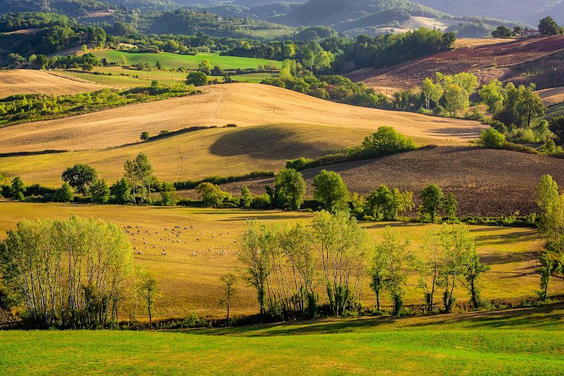 Torre Nord in Barberino di Mugello, Italy