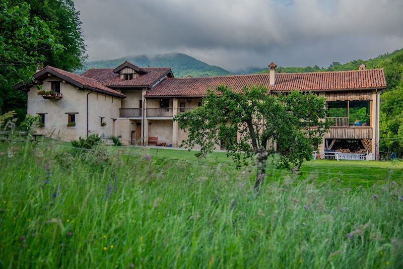 Wild Adelasia – Cascina Sarvaglioni in Cairo Montenotte, Italy