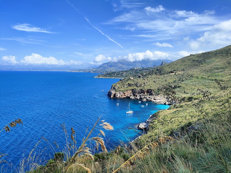 Zingaro Bruno in Zero Branco, Italy