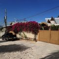 Auberge de la Cigogne & Star House