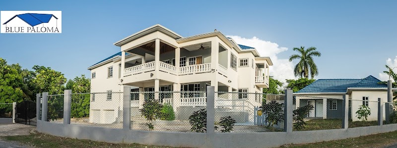 Blue Paloma in Lucea, Jamaica