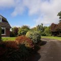 Chestnut Lodge