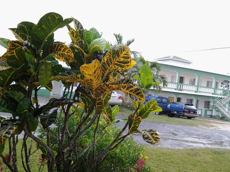 Crystal Palace Guest House in Mandeville, Jamaica