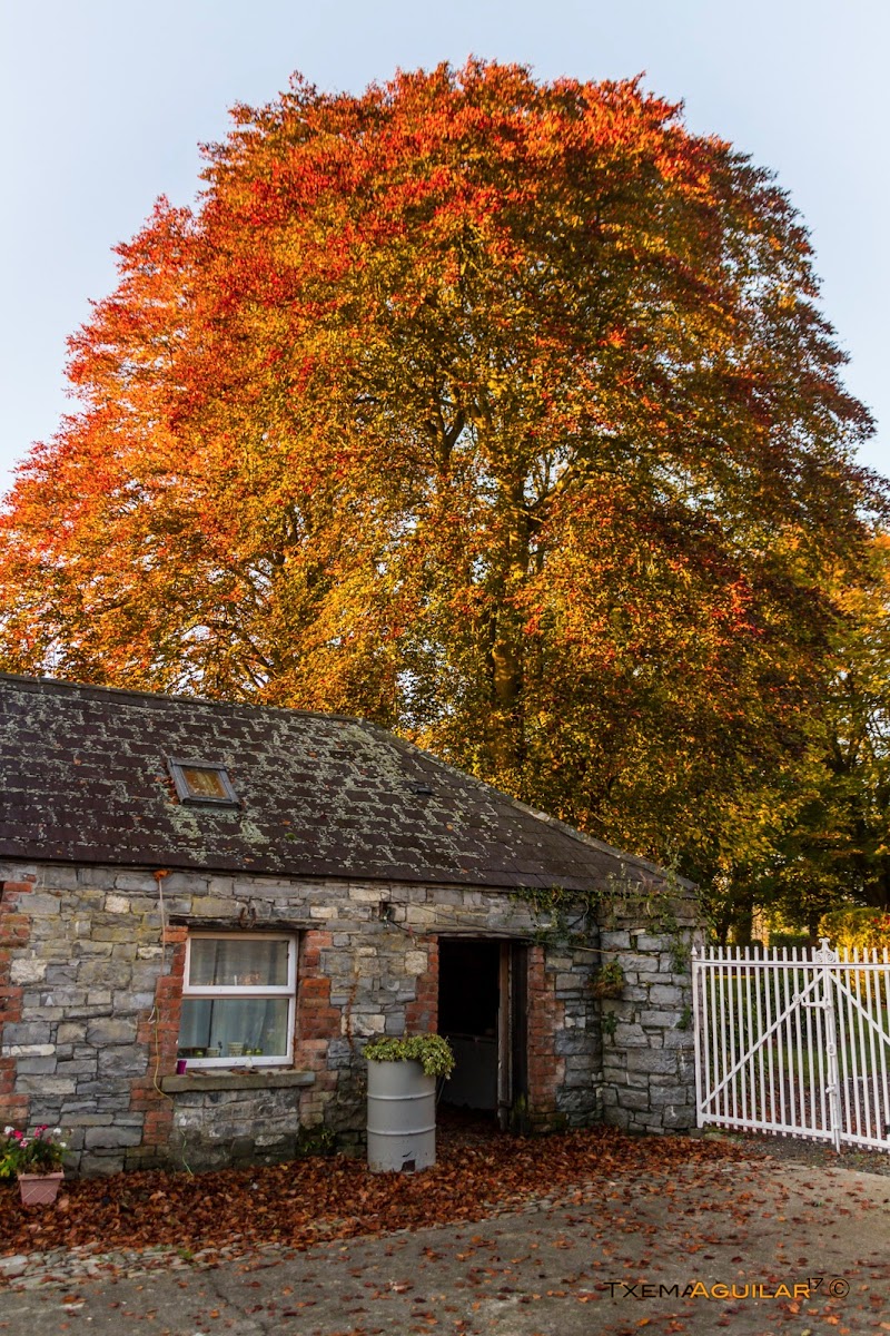 Flemingtown House in Rath To, Ireland
