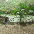 Hacienda Tinalandia