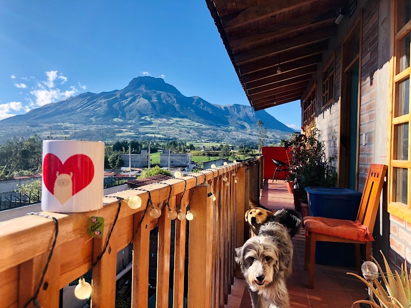 Hoppy Alpaca Hostel in Cotacachi, Ecuador