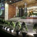 Hotel Bengal Blueberry