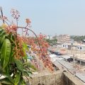 Hotel Ruposhi Rayenda