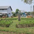 Jamuna Resort Ltd