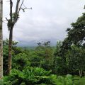 Jardin de los Sueños Protected Forest Reserve