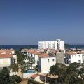 Livas