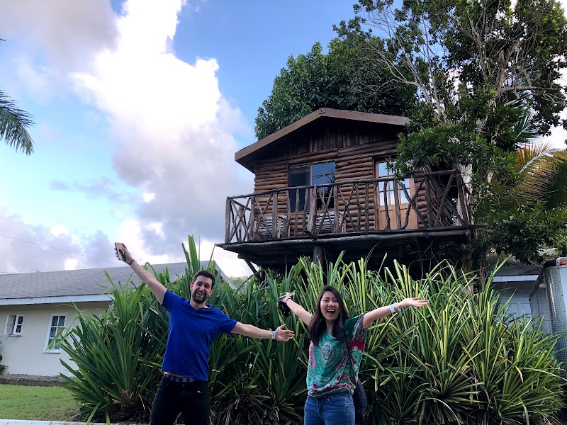 Log Thirty-Tree (Treehouse) in Saint Ann's Bay, Jamaica