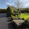 Meadow View
