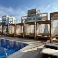 Olivia Palm Hotel