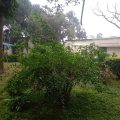 Parjatan Motel Dinajpur
