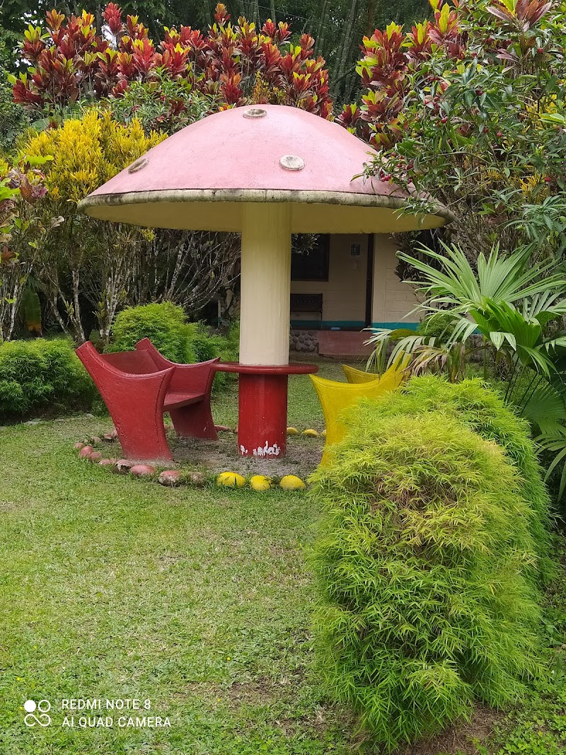 Quinta y Hostería Malacatos in Puerto Quito, Ecuador