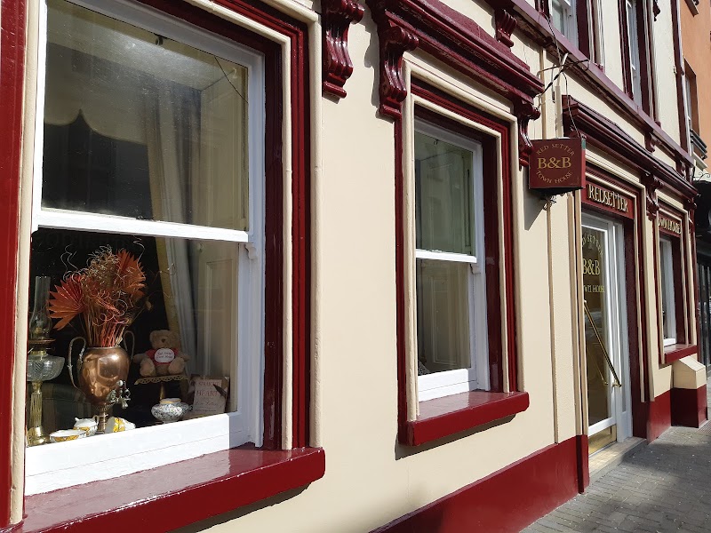 Red Setter in Carlow, Ireland