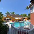 The Blue Orchid Jamaica