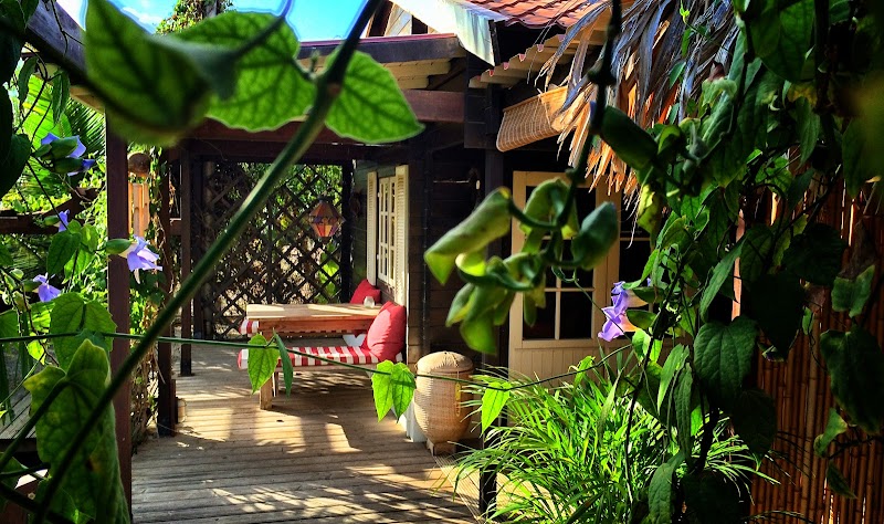 Bamboo Bonaire Boutique Resort in Kralendijk, Bonaire, Sint Eustatius, and Saba