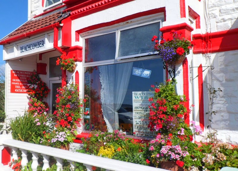 Beachcomber in Abertawe, United Kingdom