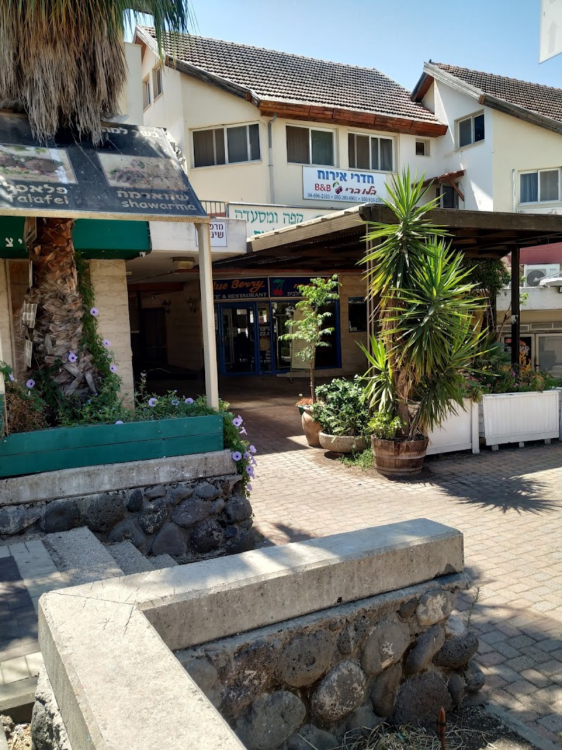 Blueberry Rooms in Rosh Pinna, Israel