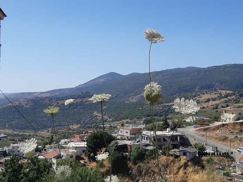 Chalet in the Sky in Majdal Shams, Israel