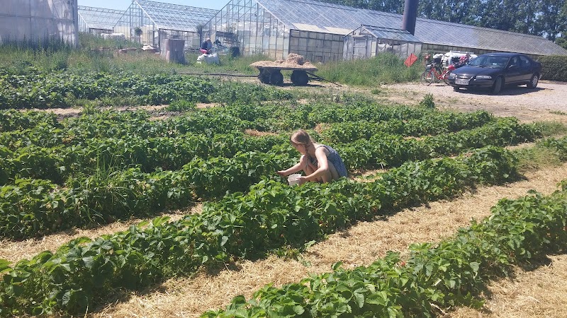 Cottage Farm Bed & Breakfast in Dragor, Denmark