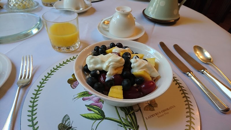 Courtyard Garden in Alnwick, United Kingdom