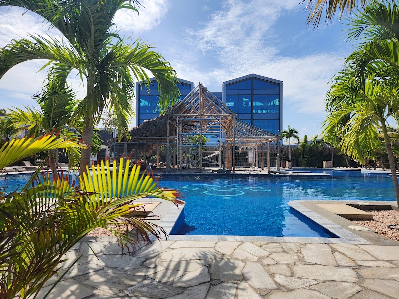 Delfins Beach Resort in Kralendijk, Bonaire, Sint Eustatius, and Saba