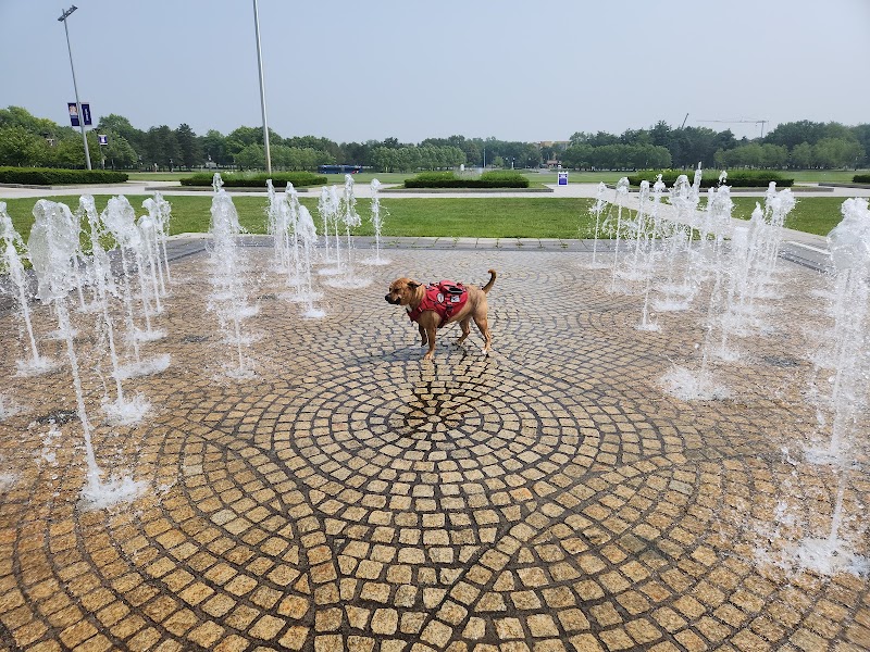 Extended Stay America - Albany - SUNY in Albany, United States, United States