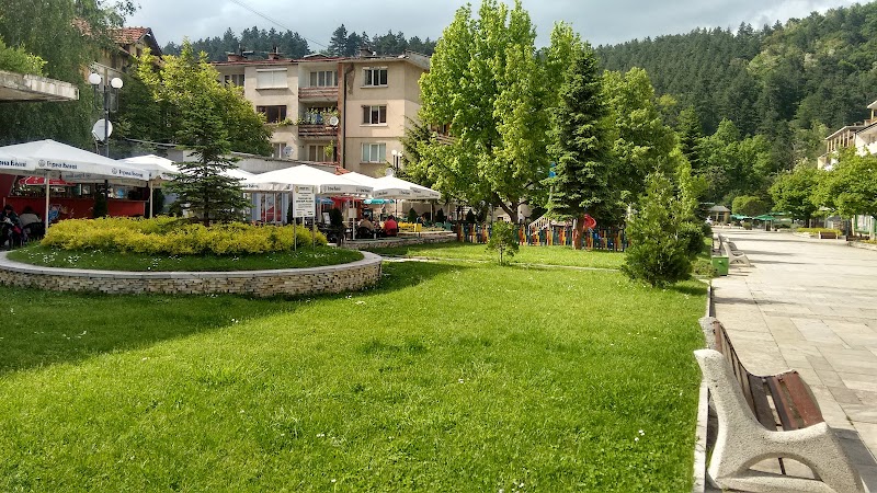 Family Hotel Salvia in Berkovitsa, Bulgaria