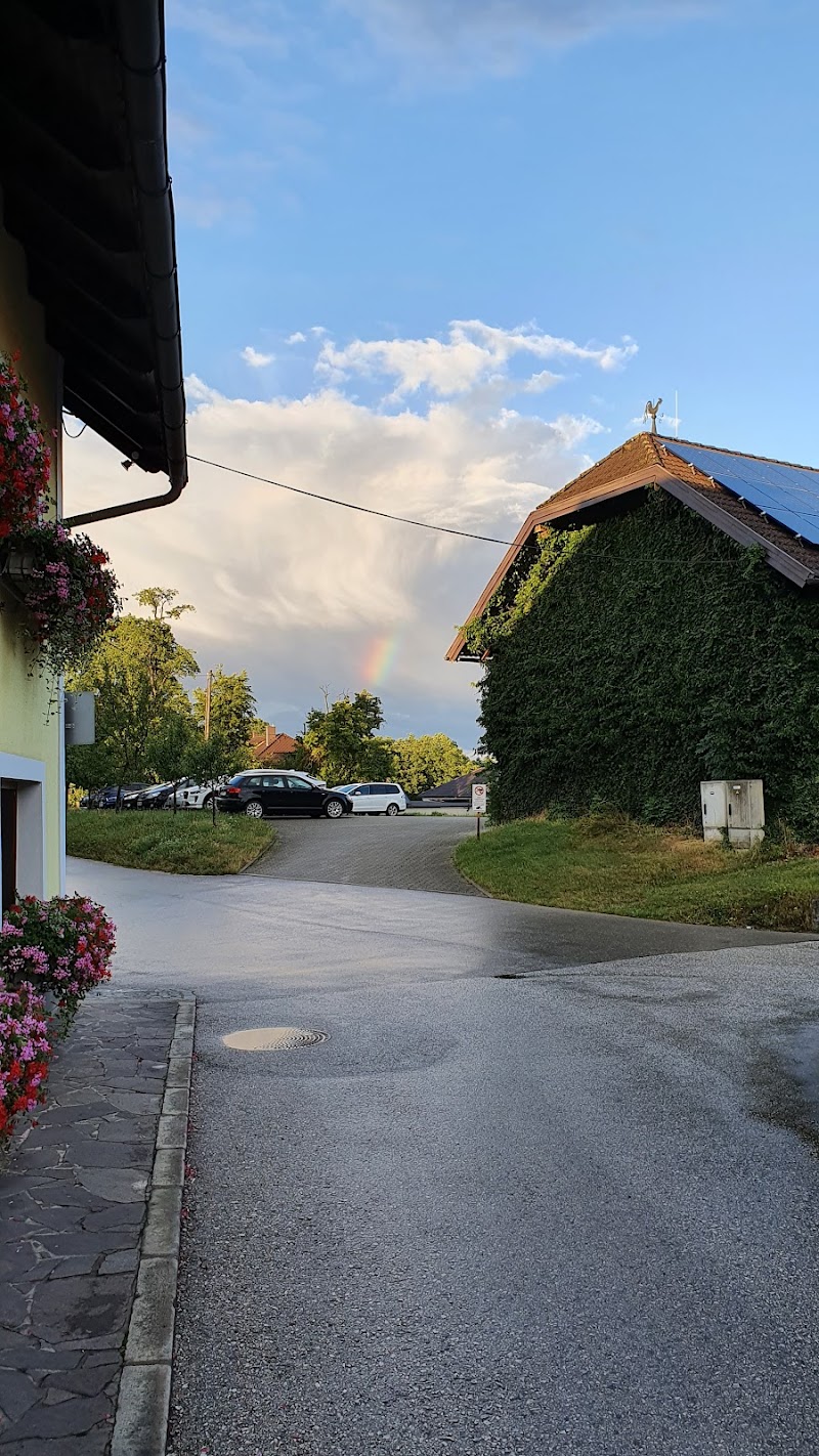 Gasthof Holzer in Steyr, Austria