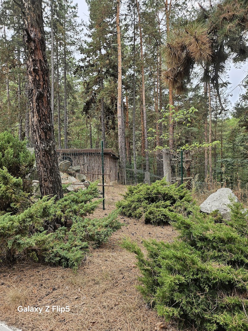 Hotel Borova Gora in Troyan, Bulgaria