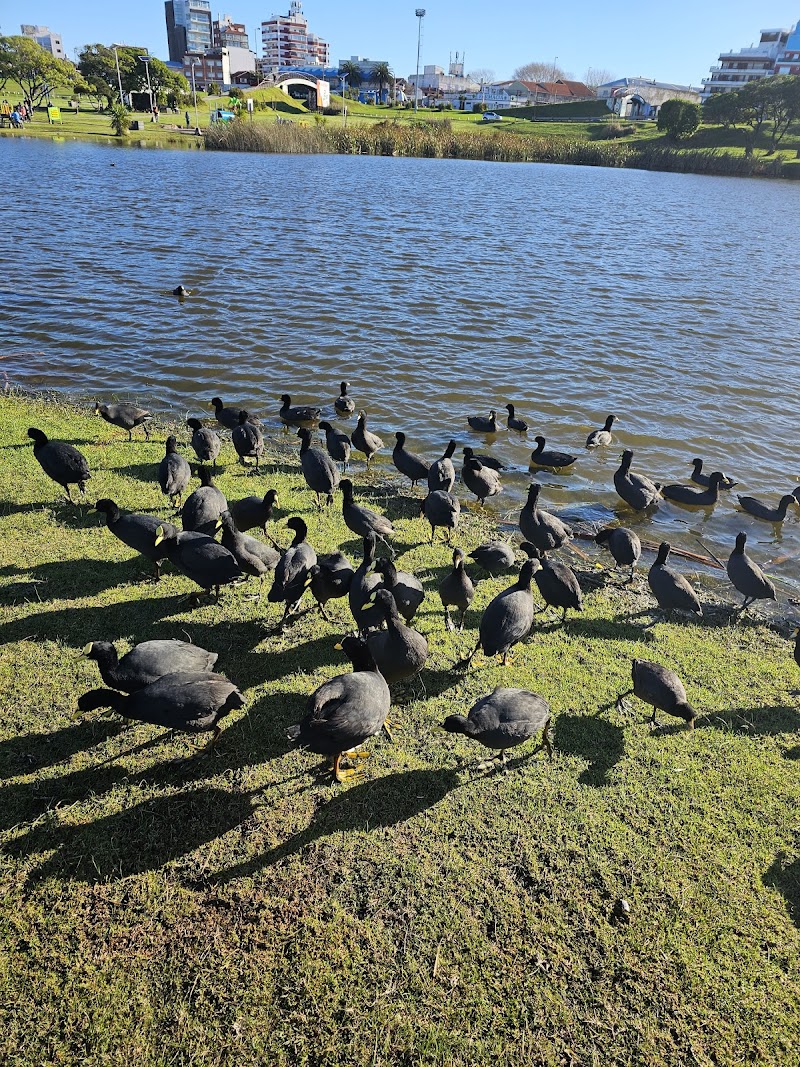 Hotel Ibiza in Balneario Monte Hermoso, Argentina