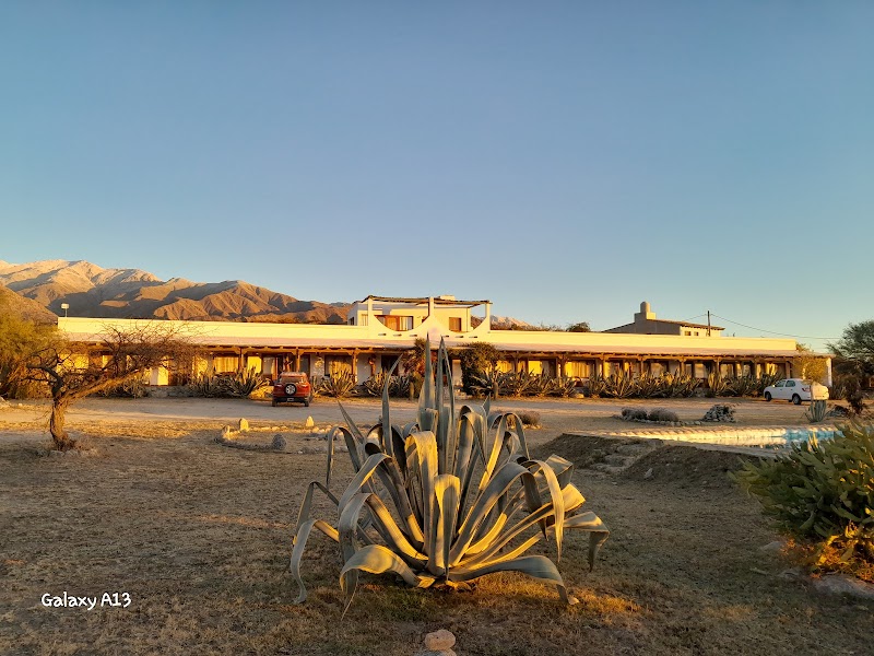 Hotel Paris-Texas in Cafayate, Argentina