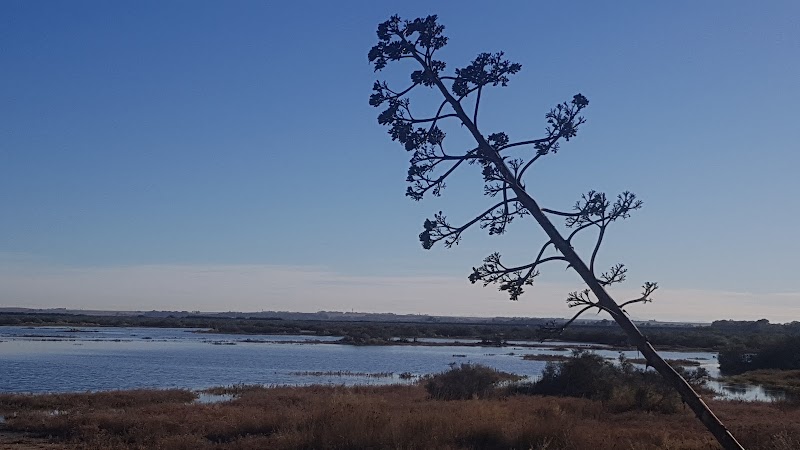 Hotel Villa del Mar in Balneario Monte Hermoso, Argentina